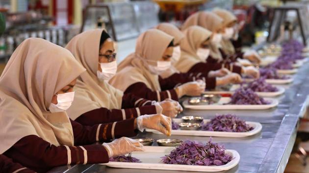Iranian workers sort and clean saffron flowers. “The people of the world should know that all saffron -- of any brand in any market in the world -- is Iranian whether it says Spain, Italy or Switzerland,” he added with just a sprinkle of patriotic exaggeration. The government is working with local businesses and farmers to fix the problem. (Atta Kenare / AFP) Iranian workers sort and clean saffron flowers. “The people of the world should know that all saffron -- of any brand in any market in the world -- is Iranian whether it says Spain, Italy or Switzerland,” he added with just a sprinkle of patriotic exaggeration. The government is working with local businesses and farmers to fix the problem. (Atta Kenare / AFP)