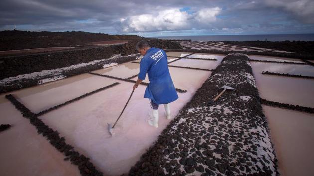 A worker collects salt from the salt pans at the Salinas de Fuencaliente, south of the island of Las Palmas in Spain. Las Salinas de Fuencaliente is an exploitation of 35,000 square metres of high quality sea salt near the Teneguia volcano range. (Desiree Martin / AFP) A worker collects salt from the salt pans at the Salinas de Fuencaliente, south of the island of Las Palmas in Spain. Las Salinas de Fuencaliente is an exploitation of 35,000 square metres of high quality sea salt near the Teneguia volcano range. (Desiree Martin / AFP)