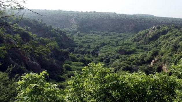 State forest officials refused to comment on the matter on Wednesday. (Manoj Kumar/ HT Photo) State forest officials refused to comment on the matter on Wednesday. (Manoj Kumar/ HT Photo)