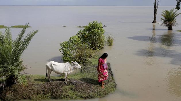 A woman walks towards an embankment after tying her cow to higher ground during high tide on Ghoramara Island. Residents of the island want to leave their home as it shrinks every year due to rising seas, but many say they can’t afford it. The 4.6 sq km island, part of the Sundarbans delta on the Bay of Bengal, has nearly halved in size over the past two decades, according to village elders. (Rupak De Chowdhuri / REUTERS) A woman walks towards an embankment after tying her cow to higher ground during high tide on Ghoramara Island. Residents of the island want to leave their home as it shrinks every year due to rising seas, but many say they can’t afford it. The 4.6 sq km island, part of the Sundarbans delta on the Bay of Bengal, has nearly halved in size over the past two decades, according to village elders. (Rupak De Chowdhuri / REUTERS)