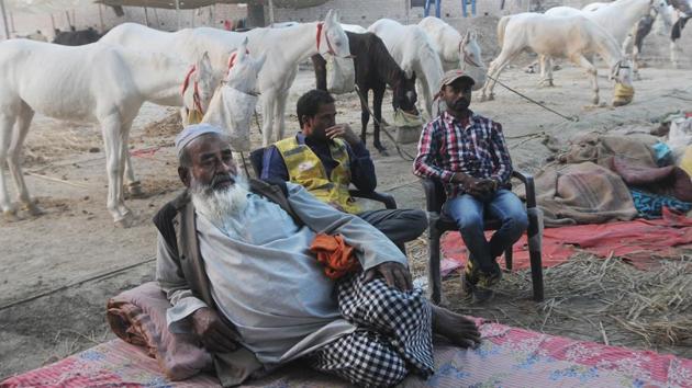 Mohammad Imam with his kin and herd of horses at the Sonepur fair on Thursday. His horses have shot for several movies in the past. (Parwaz Khan /HT PHOTO) Mohammad Imam with his kin and herd of horses at the Sonepur fair on Thursday. His horses have shot for several movies in the past. (Parwaz Khan /HT PHOTO)
