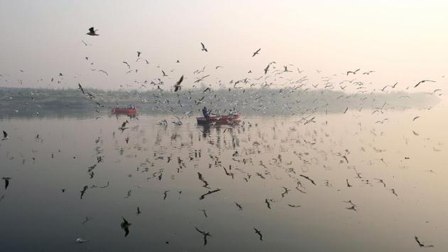 Migratory birds fly around row boats on the Yamuna River on a morning of heavy air pollution in New Delhi on November 27, 2018. (Noemi Cassanelli / AFP)