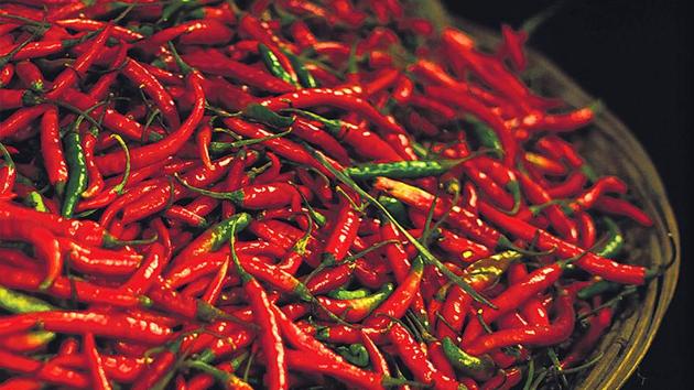 In bid to keep jawans healthy, fit and far from various diseases, use of red chilly has been banned in the mess of 31st battalion of Provincial Armed Constabulary (PAC) in Uttarakhand’s Rudrapur, said a police official.(File Photo)