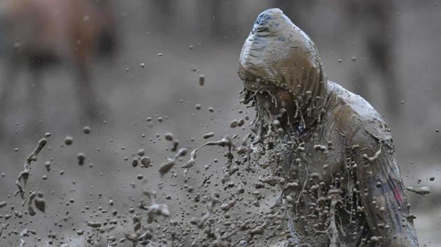A mud drenched jockey after a fall. Another rule says that the riders have to stay upright for the 250 metre race or it’s all over. Injuries are part of the job. “I broke my hand once, but that didn’t scare me off -- I kept racing,” said Zainal, a 37-year-old jockey. (Adek Berry / AFP)