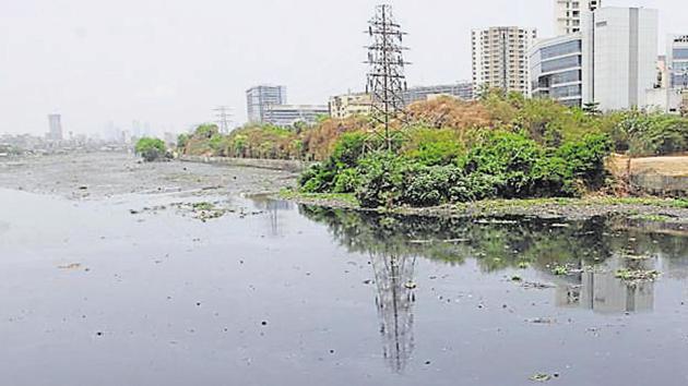 The river, which meets the Arabian Sea at Mahim creek, starts at the Vihar and Powai lakes and passes through several areas of the city’s suburbs.(HT PHOTO)