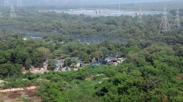 The 10-acre mangrove plot falls under the Coastal Regulation Zone 1.(HT FILE)