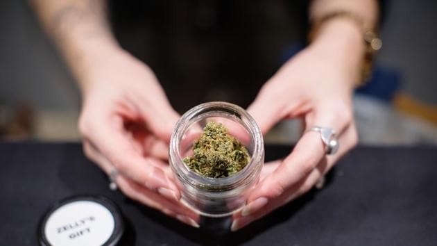 A salesperson displays a jar of cannabis at the Potorium dispensary. Once a silver mining outpost, then a logging centre, the region has long been a place of refuge, settled by Russians fleeing the czars, pacifist Quakers, and Japanese Canadians from World War II prison camps. Hippies and Vietnam War draft dodgers trickled in during the 1960s. They discovered a land supremely suited to marijuana. (Ben Nelms / Bloomberg) A salesperson displays a jar of cannabis at the Potorium dispensary. Once a silver mining outpost, then a logging centre, the region has long been a place of refuge, settled by Russians fleeing the czars, pacifist Quakers, and Japanese Canadians from World War II prison camps. Hippies and Vietnam War draft dodgers trickled in during the 1960s. They discovered a land supremely suited to marijuana. (Ben Nelms / Bloomberg)