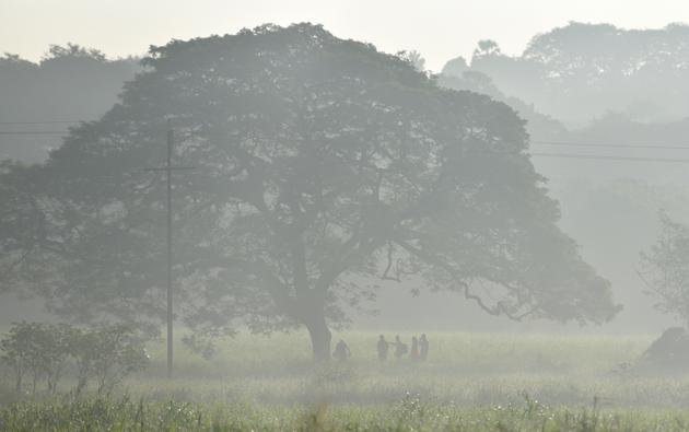 Fog envelopes Aarey Colony in Goregaon. (Satyabrata Tripathy/HT Photo) Fog envelopes Aarey Colony in Goregaon. (Satyabrata Tripathy/HT Photo)