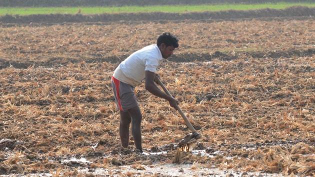 About 90% of the rural constituency in Chhattisgarh and Madhya Pradesh and 70% in Rajasthan are agricultural(HT File Photo)