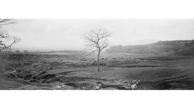 A bare tree stands amid ash, rock and debris in the aftermath of a fast-moving avalanche of super-heated muck. Rodrigo Abd was among the photojournalists who arrived on the scene. As he covered the news, he considered how to capture the sweep of the volcano’s destructive power and the magnitude of the human drama that had unfolded in minutes. (Rodrigo Abd / AP) A bare tree stands amid ash, rock and debris in the aftermath of a fast-moving avalanche of super-heated muck. Rodrigo Abd was among the photojournalists who arrived on the scene. As he covered the news, he considered how to capture the sweep of the volcano’s destructive power and the magnitude of the human drama that had unfolded in minutes. (Rodrigo Abd / AP)