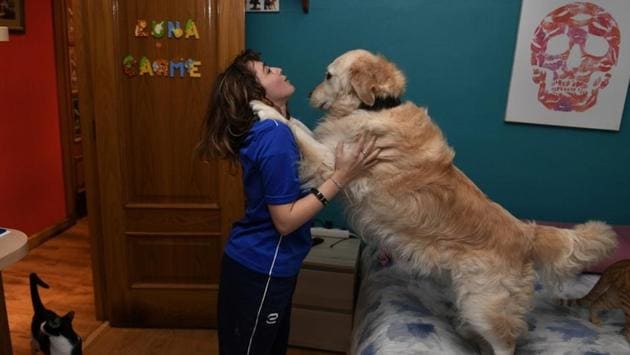 Lopez plays with her dog at her apartment in Oviedo, Spain. In its fourth edition, the La Jolla event for surfers with disabilities features its first team competition for visually impaired female athletes, with Lopez representing Spain. (Eloy Alonso / REUTERS) Lopez plays with her dog at her apartment in Oviedo, Spain. In its fourth edition, the La Jolla event for surfers with disabilities features its first team competition for visually impaired female athletes, with Lopez representing Spain. (Eloy Alonso / REUTERS)
