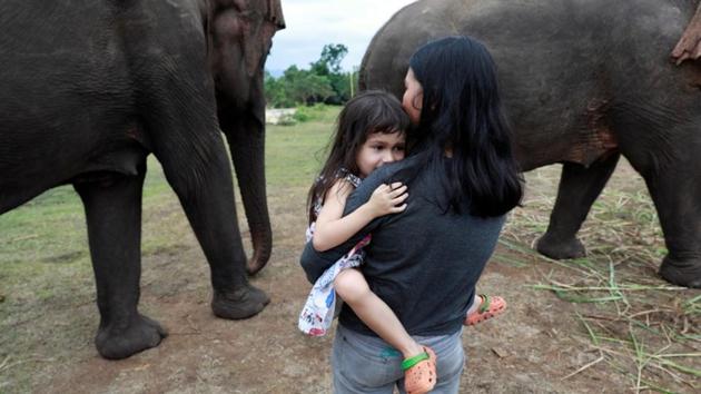 Emily Barton surrounded by the residents of Elephant World before a session by her father. “We work here to rehabilitate the elephants physically,” Samart told Reuters. “The use of music has been useful in rehabilitating their soul,” he said. (Soe Zeya Tun / REUTERS) Emily Barton surrounded by the residents of Elephant World before a session by her father. “We work here to rehabilitate the elephants physically,” Samart told Reuters. “The use of music has been useful in rehabilitating their soul,” he said. (Soe Zeya Tun / REUTERS)