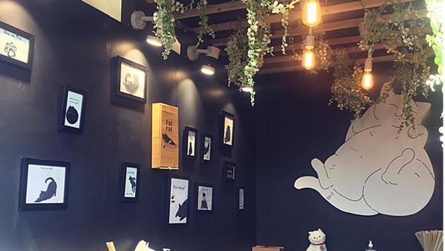 The lovely interiors of Fat Cat Cafe at HT Palate Fest 2018