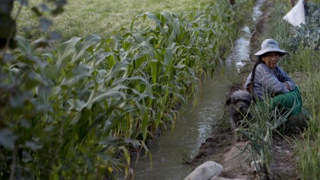 A farmer rests next to an irrigation channel that shoots off a river contaminated with sewage water, at a farm in Valencia. There are no specific studies available that point to the impact on the health of the population, but the National Institute for Health Laboratories says 70% of acute diarrhoeic illnesses are linked to eating contaminated food, including vegetables. (Juan Karita / AP) A farmer rests next to an irrigation channel that shoots off a river contaminated with sewage water, at a farm in Valencia. There are no specific studies available that point to the impact on the health of the population, but the National Institute for Health Laboratories says 70% of acute diarrhoeic illnesses are linked to eating contaminated food, including vegetables. (Juan Karita / AP)