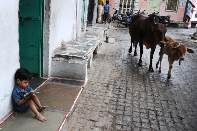 There’s nothing quite like a good book! A child reading on a street in Udaipur.(GABRIEL BOUYS/AFP)