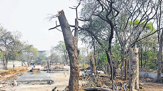 The PMC has cut down 140 trees for road construction from HSBC towers in Kalyaninagar to Gunjan chowk, Yerwada. (Photo by Shankar Narayan/HT PHOTO) The PMC has cut down 140 trees for road construction from HSBC towers in Kalyaninagar to Gunjan chowk, Yerwada. (Photo by Shankar Narayan/HT PHOTO)