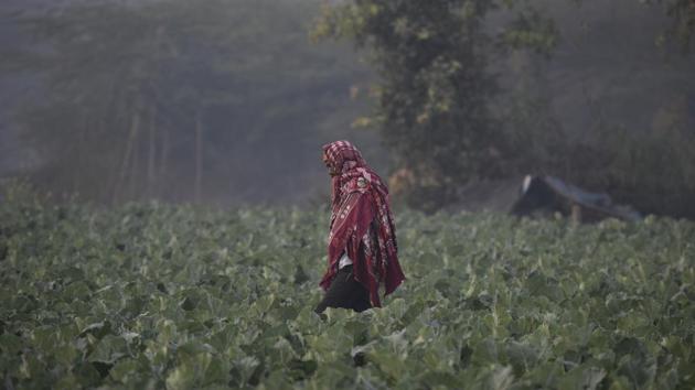 Residents of the national capital woke up to a foggy morning on Monday with the minimum temperature touching 6.2 degrees Celsius, two notches below the season’s average. According to the Central Pollution Control Board (CPCB), Delhi continued to breathe under ‘very poor’ air quality with the index at 321. (Burhaan Kinu / HT Photo) Residents of the national capital woke up to a foggy morning on Monday with the minimum temperature touching 6.2 degrees Celsius, two notches below the season’s average. According to the Central Pollution Control Board (CPCB), Delhi continued to breathe under ‘very poor’ air quality with the index at 321. (Burhaan Kinu / HT Photo)