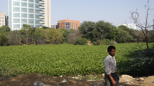 According to the petition, encroachments on the Sikanderpur drain in Gurugram has affected its natural flow and increased chances of flash floods.(Yogendra Kumar/HT PHOTO)