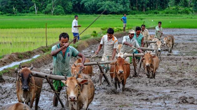 The Assam government said the waiver would benefit 8 lakh farmers in the state. (PTI/Picture for representation) The Assam government said the waiver would benefit 8 lakh farmers in the state. (PTI/Picture for representation)