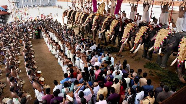The database is expected to address illegal trade, forgery of ownership certificates and other malpractices related to captive jumbos. (PTI/Picture for representation) The database is expected to address illegal trade, forgery of ownership certificates and other malpractices related to captive jumbos. (PTI/Picture for representation)