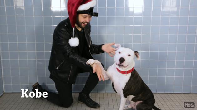 With Christmas just around the corner, TV network TBS recruited magician John Stessel to “bring the magic of the holidays to these animal shelter dogs”. (TBS/YouTube) With Christmas just around the corner, TV network TBS recruited magician John Stessel to “bring the magic of the holidays to these animal shelter dogs”. (TBS/YouTube)