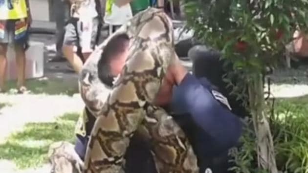 The video shows the python squeezing the fireman into a tight grip.(Screengrab)