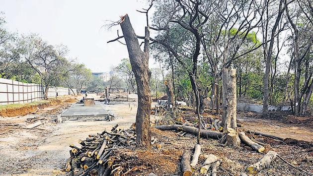 One hundred and forty trees have been cut by the Pune Municipal Corporation at the Dr Salim Ali Bird Sanctuary for the construction of a road (seen here) which passes through it. The fate of 350 trees lies in the balance which might be felled to make way for the rest of the road. (SHANKAR NARAYAN/HT PHOTO) One hundred and forty trees have been cut by the Pune Municipal Corporation at the Dr Salim Ali Bird Sanctuary for the construction of a road (seen here) which passes through it. The fate of 350 trees lies in the balance which might be felled to make way for the rest of the road. (SHANKAR NARAYAN/HT PHOTO)