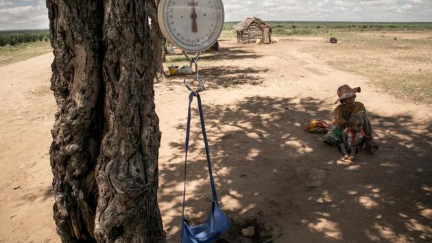 A baby scale is hung on a tree branch during a malnutrition screening session in the municipality of Ifotaka, in southern Madagascar. (Rijasolo / AFP) 