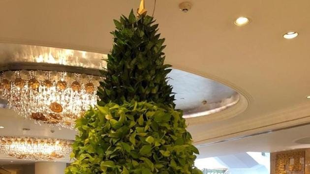 This Christmas there are all sorts of different kinds of Christmas trees on display. This Christmas there are all sorts of different kinds of Christmas trees on display.