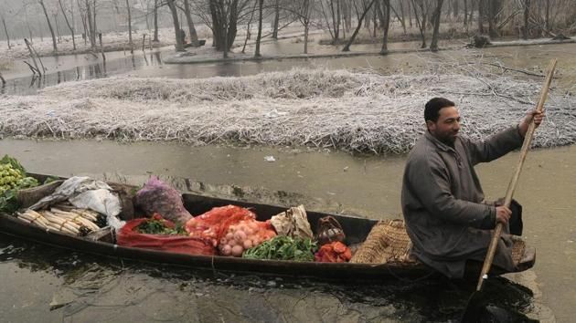 A Kashmiri boatman makes his way through frozen parts in the interiors of Dal Lake.(HT File Photo)