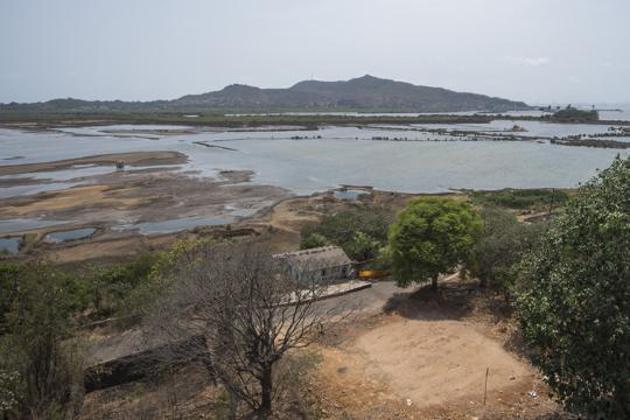 Konkan commissioner has said that pending cases of mangrove and wetland destruction along Konkan will remain pending until all destroyed areas are restored.(HT Photo) Konkan commissioner has said that pending cases of mangrove and wetland destruction along Konkan will remain pending until all destroyed areas are restored.(HT Photo)