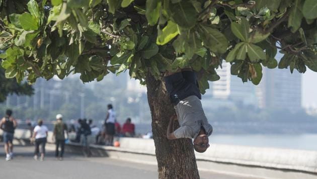 A man exercises by hanging from a tree at Marine Drive in Mumbai, Maharashtra. (Pratik Chorge / HT Photo) 