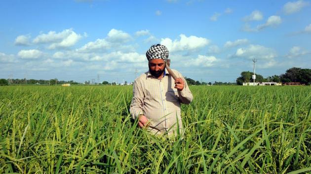 The meeting between Prime Minister Narendra Modi and his colleagues was preceded by ministerial-level meetings on possible farm solutions over the past week. (HT File Photo) The meeting between Prime Minister Narendra Modi and his colleagues was preceded by ministerial-level meetings on possible farm solutions over the past week. (HT File Photo)