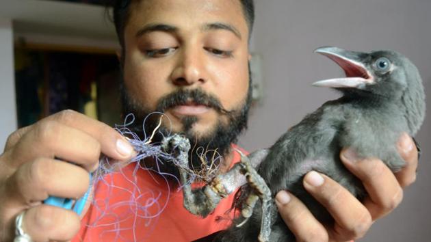 The injuries to small animals are mostly caused by manjha string which falls inside the reserve area. Such strings, officials have alleged in the letter, can also harm big animals of the forest, including tigers and leopards. (File) The injuries to small animals are mostly caused by manjha string which falls inside the reserve area. Such strings, officials have alleged in the letter, can also harm big animals of the forest, including tigers and leopards. (File)