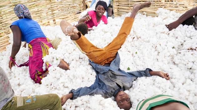 Malian children have fun in a pile of cotton during the harvest in southern Mali. (Michele Cattani / AFP) Malian children have fun in a pile of cotton during the harvest in southern Mali. (Michele Cattani / AFP)
