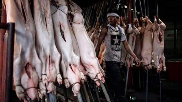 A ‘lechonero’ worker prepares pigs to be roasted in a pit in Manila. Row upon row of pigs on bamboo spits sizzle slowly over orange embers in Manila just days before Christmas, peak season for the Philippines' pig roasting "lechoneros". (Noel Celis / AFP) A ‘lechonero’ worker prepares pigs to be roasted in a pit in Manila. Row upon row of pigs on bamboo spits sizzle slowly over orange embers in Manila just days before Christmas, peak season for the Philippines' pig roasting "lechoneros". (Noel Celis / AFP)
