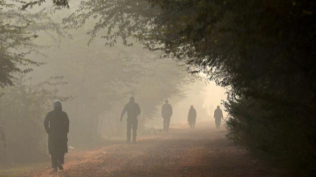 People walk in a park on a cold winter morning, in New Delhi. (Biplov Bhuyan / HT Photo) People walk in a park on a cold winter morning, in New Delhi. (Biplov Bhuyan / HT Photo)