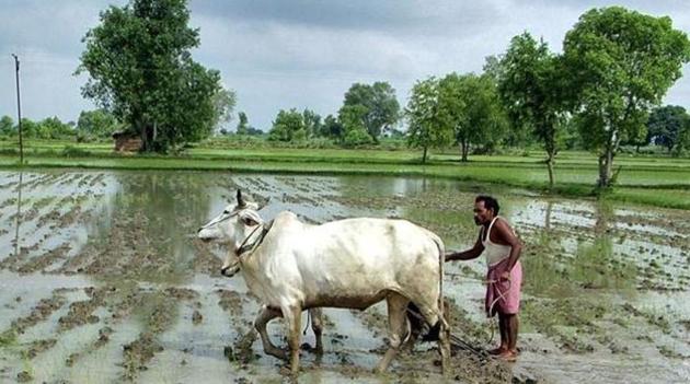 The agriculture department estimates the loan waiver to cost <span class='webrupee'>₹</span>35,000 crore. Image for representation.(REUTERS file photo)