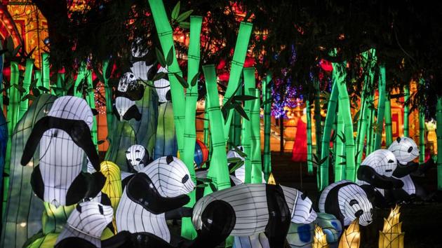 Gaillac happens to be twinned with Zigong, a city in China’s Sichuan province which is famous for its lantern festival. For the second winter running Gaillac has transformed into a miniature version of its Sichuan twin, lighting up nightly with a dazzling array of giant lanterns in the form of dragons, flowers, birds and pandas. (Eric Cabanis / AFP) Gaillac happens to be twinned with Zigong, a city in China’s Sichuan province which is famous for its lantern festival. For the second winter running Gaillac has transformed into a miniature version of its Sichuan twin, lighting up nightly with a dazzling array of giant lanterns in the form of dragons, flowers, birds and pandas. (Eric Cabanis / AFP)