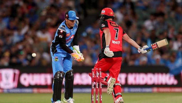 Big Bash League: Melbourne Renegades vs Adelaide Strikers, Live score and updates(Getty Images)