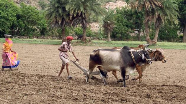 For resolving the agrarian crisis, the most important requirement is massive investment in agriculture but unfortunately it is not happening(HT)