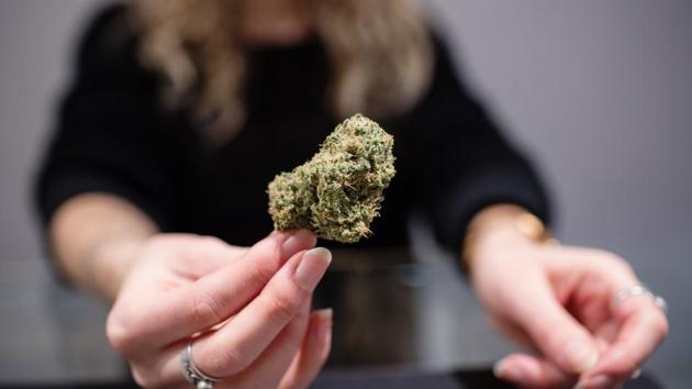Two Indian nationals were arrested by the Nepal police on Thursday for allegedly trying to smuggle 235 kgs of cannabis.(Bloomberg) Two Indian nationals were arrested by the Nepal police on Thursday for allegedly trying to smuggle 235 kgs of cannabis.(Bloomberg)