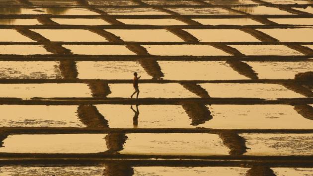 A boy flies a kite through the salt pans in Bhayandar in Mumbai, Maharshtra. (Pramod Thakur / Hindustan Times) A boy flies a kite through the salt pans in Bhayandar in Mumbai, Maharshtra. (Pramod Thakur / Hindustan Times)