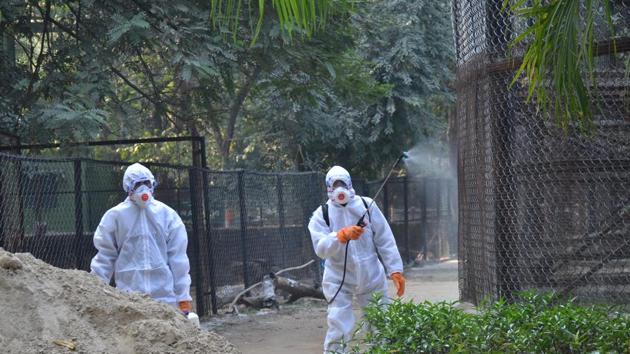 “Experts said migratory birds may have caused bird flu through their droppings. There are bird sanctuaries in Munger and Danapur in Patna (HT Photo) “Experts said migratory birds may have caused bird flu through their droppings. There are bird sanctuaries in Munger and Danapur in Patna (HT Photo)