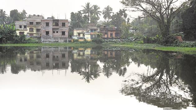 Saral Dighi, a pond in the village Boral, was one of the sites for Pather Panchali, say locals. The shooting of the Satyajit Ray classic remains a cherished memory for the people of Boral.(Arijit Sen/HT Photo)