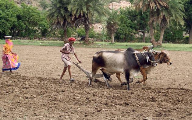 A farmer tills his farm.HT FILE PHOTO(HT File photo)