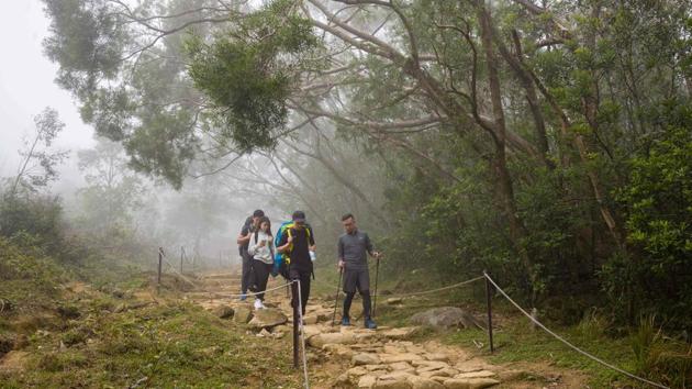 University lecturer and youth counsellor Giovanni Lam (R) and (2nd R to L) Keith Yung, Carmen Li and Yes Chan hike up Ma On Shan peak before paragliding in Hong Kong. Patience is rewarded in paragliding, explained Lam, who brought three novices and heavy equipment on a 40-minute mountain trail hike last month, with the group waiting two hours in the winter chill for the weather to turn. (Anthony Wallace / AFP) University lecturer and youth counsellor Giovanni Lam (R) and (2nd R to L) Keith Yung, Carmen Li and Yes Chan hike up Ma On Shan peak before paragliding in Hong Kong. Patience is rewarded in paragliding, explained Lam, who brought three novices and heavy equipment on a 40-minute mountain trail hike last month, with the group waiting two hours in the winter chill for the weather to turn. (Anthony Wallace / AFP)