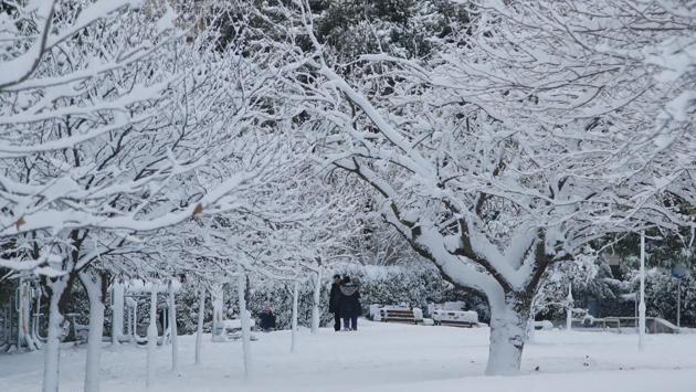 People walk in a park in the Greek capital Athens, blanketed Tuesday under snow. Deadly winter weather has blasted Europe, trapping hundreds of people in Alpine regions, whipping up high winds that caused flight cancellations and increasing the risks of deadly avalanches. At least 13 people have been killed in weather-related accidents in Europe over the last week, most of them from avalanches. (Thanassis Stavrakis / AP) People walk in a park in the Greek capital Athens, blanketed Tuesday under snow. Deadly winter weather has blasted Europe, trapping hundreds of people in Alpine regions, whipping up high winds that caused flight cancellations and increasing the risks of deadly avalanches. At least 13 people have been killed in weather-related accidents in Europe over the last week, most of them from avalanches. (Thanassis Stavrakis / AP)