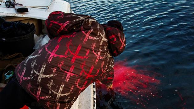 Henrik Josvasson reaches down to hook a seal he has just shot while hunting near Tasiilaq. In addition, fish such as mackerel, usually not found in the icy seawater of Greenland, are now abundant - a boon for the local fishing industry, Moeller and Nielsen said. (Lucas Jackson / REUTERS) Henrik Josvasson reaches down to hook a seal he has just shot while hunting near Tasiilaq. In addition, fish such as mackerel, usually not found in the icy seawater of Greenland, are now abundant - a boon for the local fishing industry, Moeller and Nielsen said. (Lucas Jackson / REUTERS)