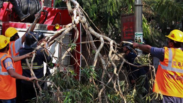 Officials remove the tree from the spot on Monday. (PRAFUL GANGURDE/HT) Officials remove the tree from the spot on Monday. (PRAFUL GANGURDE/HT)